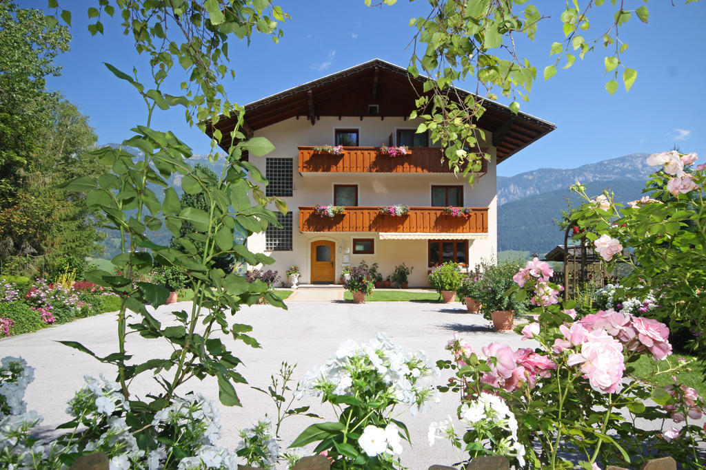 Hotel Rosspointnerhof Haus im Ennstal Exterior foto